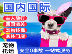朔州机场托运国际宠物托运 【国